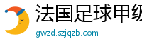 法国足球甲级联赛